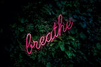 Neon "breathe" sign amidst lush greenery at a Biohack Miami wellness event, promoting relaxation and mindful breathing practices in a tranquil environment