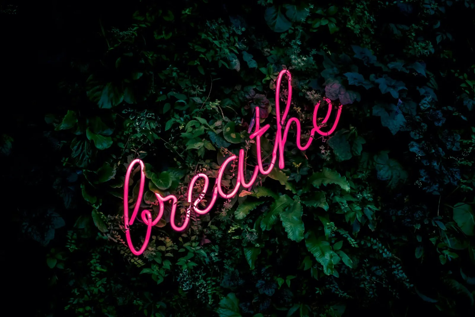 Neon "breathe" sign amidst lush greenery at a Biohack Miami wellness event, promoting relaxation and mindful breathing practices in a tranquil environment