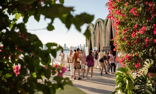 Biohack Miami November 23th